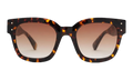 Amiri Classic MA Sunglasses "Tortoise Shell" AMACSN1004 968