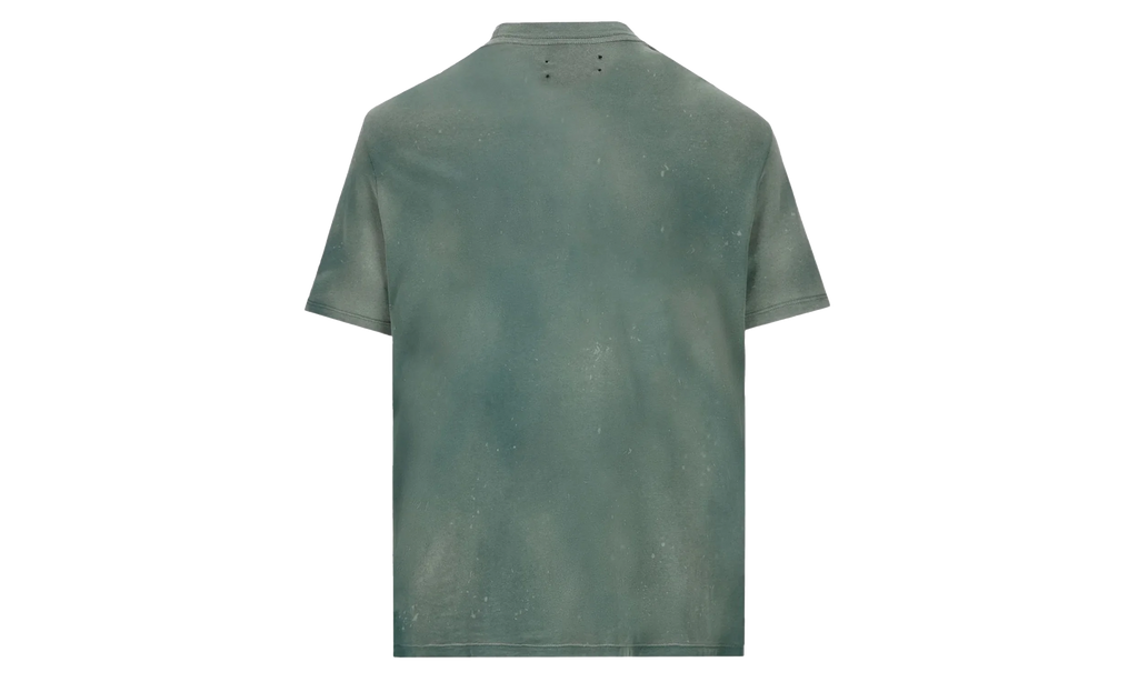 Vintage Tiger Tee "Green" PF23MJG006 310